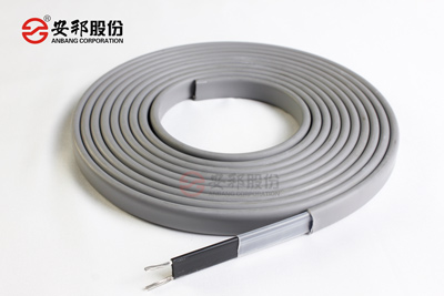 DWL低溫係列自限溫電正能量入口帶電熱帶