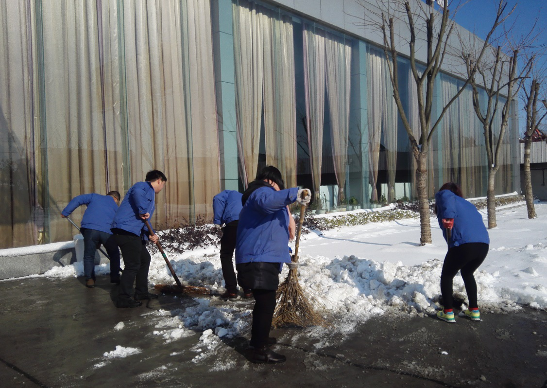 正能量网站電氣組織員工開展義務清雪活動(圖1)