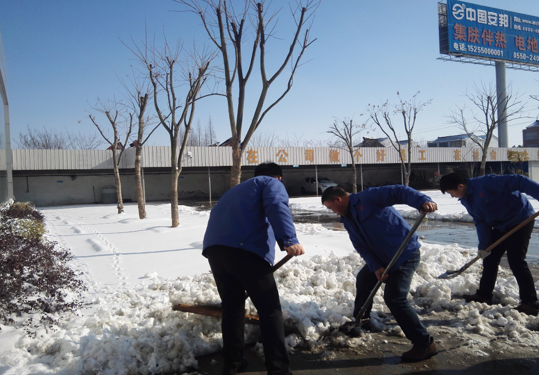 正能量网站電氣組織員工開展義務清雪活動(圖2)