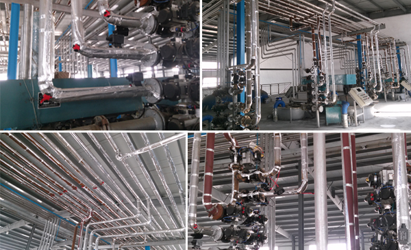 用戶對於電正能量入口帶使用後反饋問題解析(圖1)