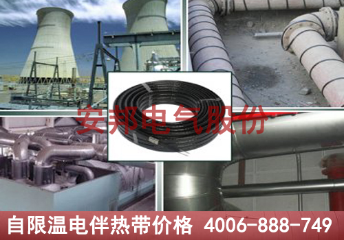 自限溫電正能量入口帶價格揭秘