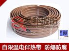 自限溫電正能量入口帶