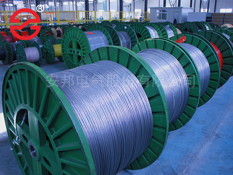 電正能量入口帶廠家