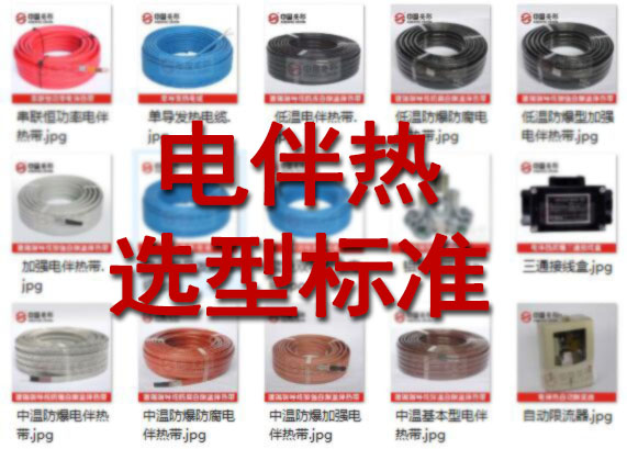 電正能量入口選型
