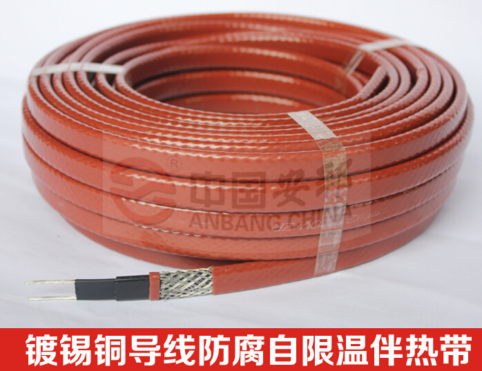 電正能量入口帶
