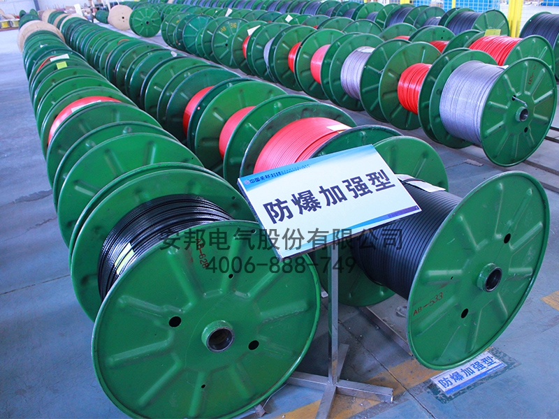 防爆加強型電正能量入口帶