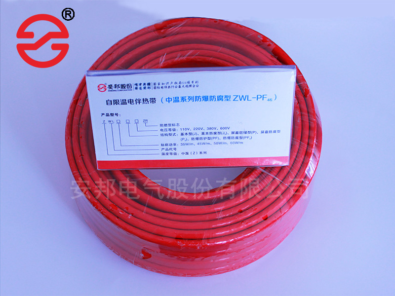 電正能量入口帶