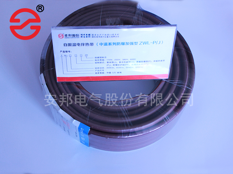 電正能量入口帶