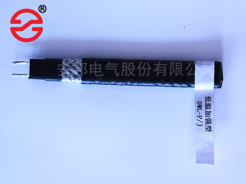 電正能量入口帶