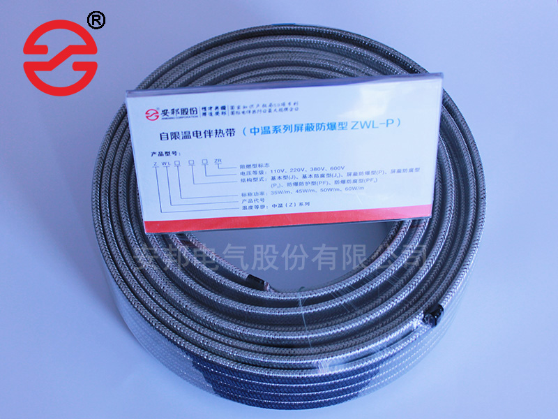 中溫防爆電正能量入口帶