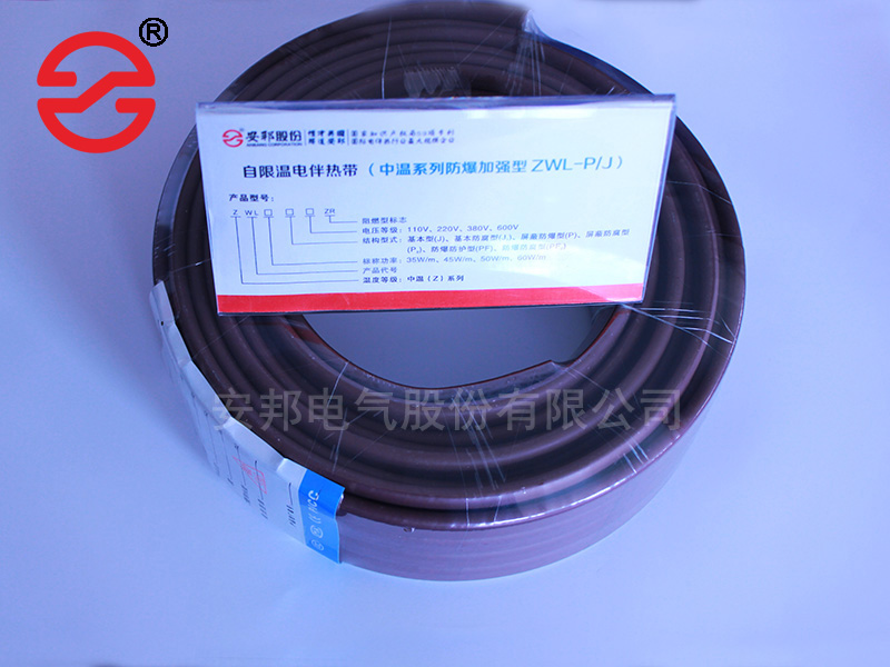 防爆電正能量入口帶
