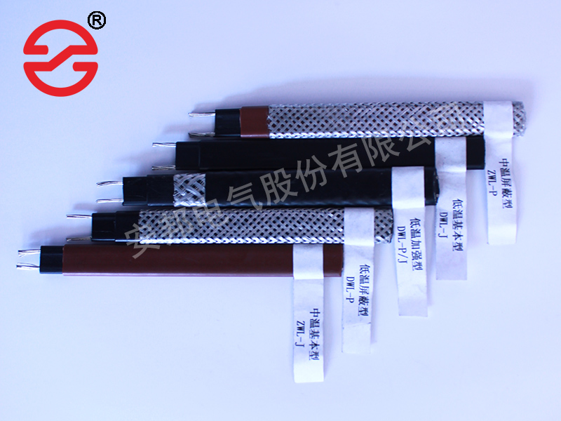 電正能量入口帶