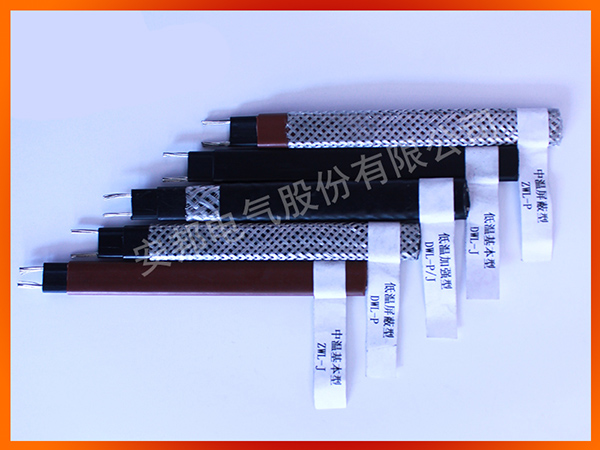 電正能量入口帶常見型號