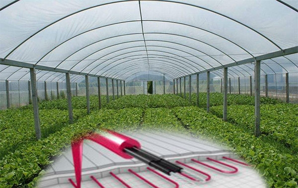 植物栽培電正能量入口帶保溫促生長