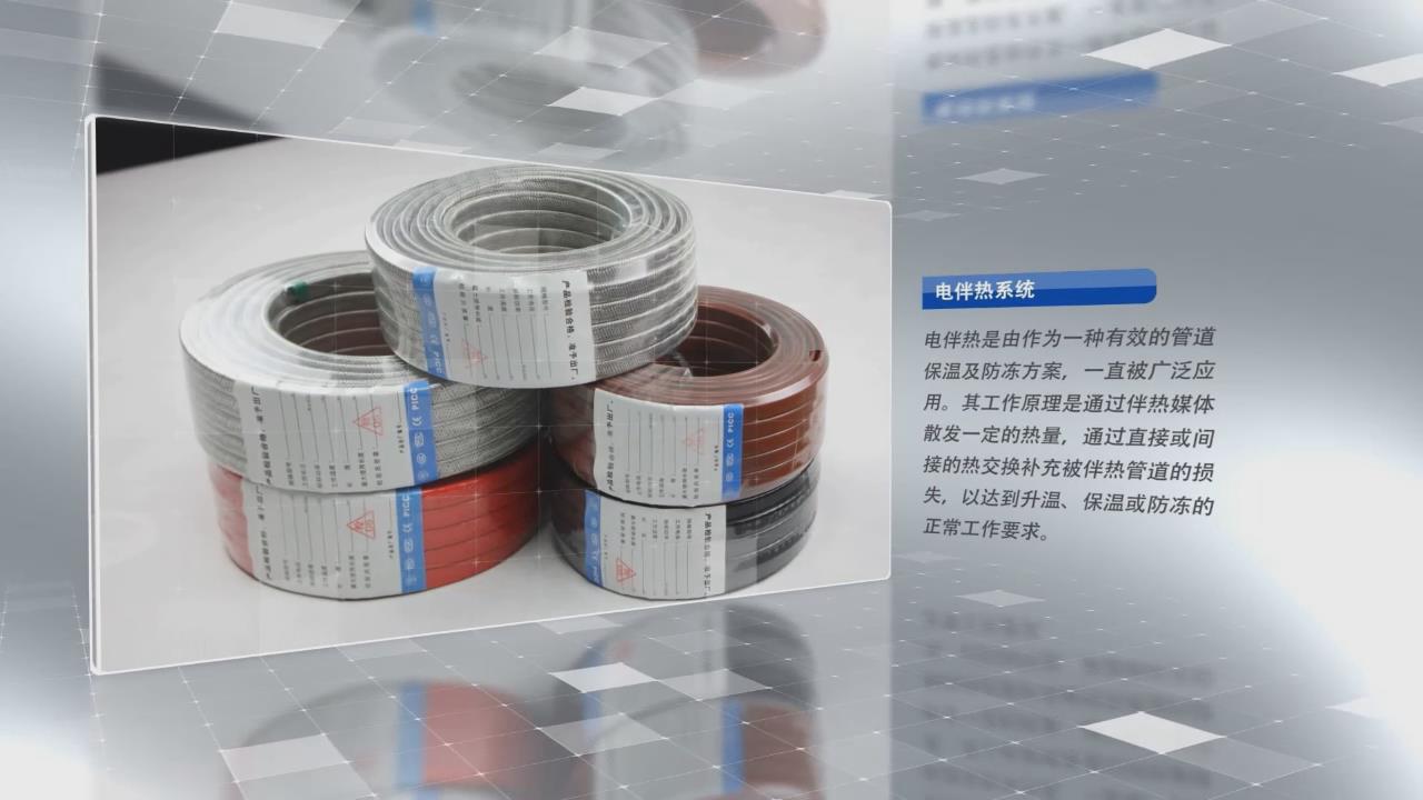 電正能量入口帶