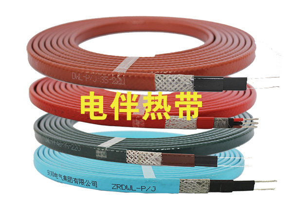 電正能量入口帶分類