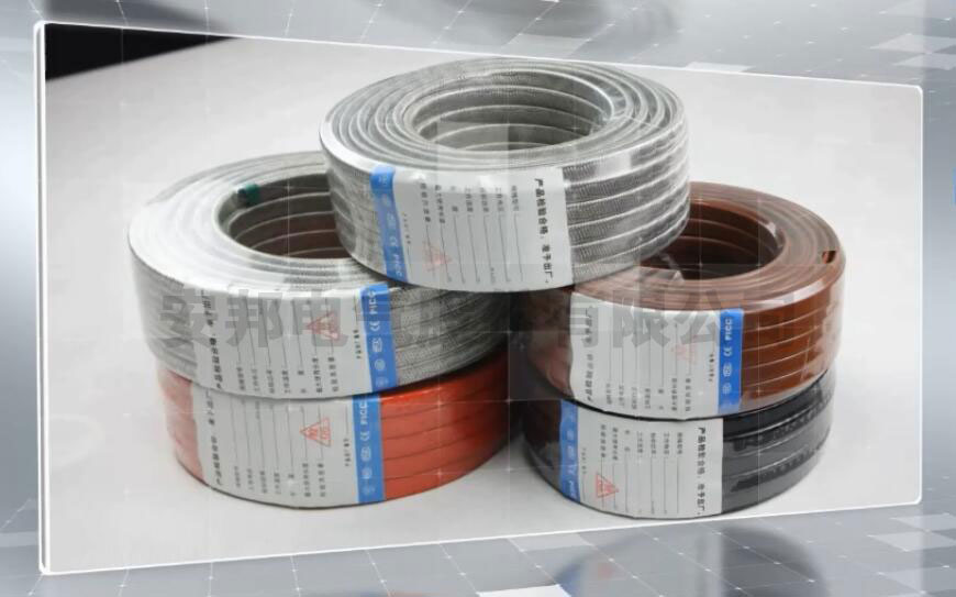 電正能量入口帶產品圖