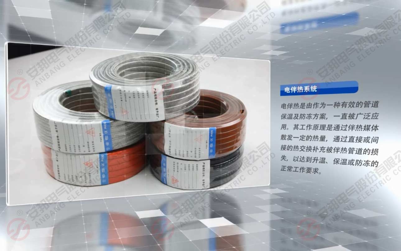電正能量入口帶廠家
