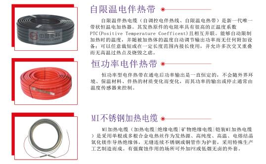 電正能量入口帶三種型號