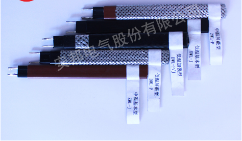 電正能量入口帶