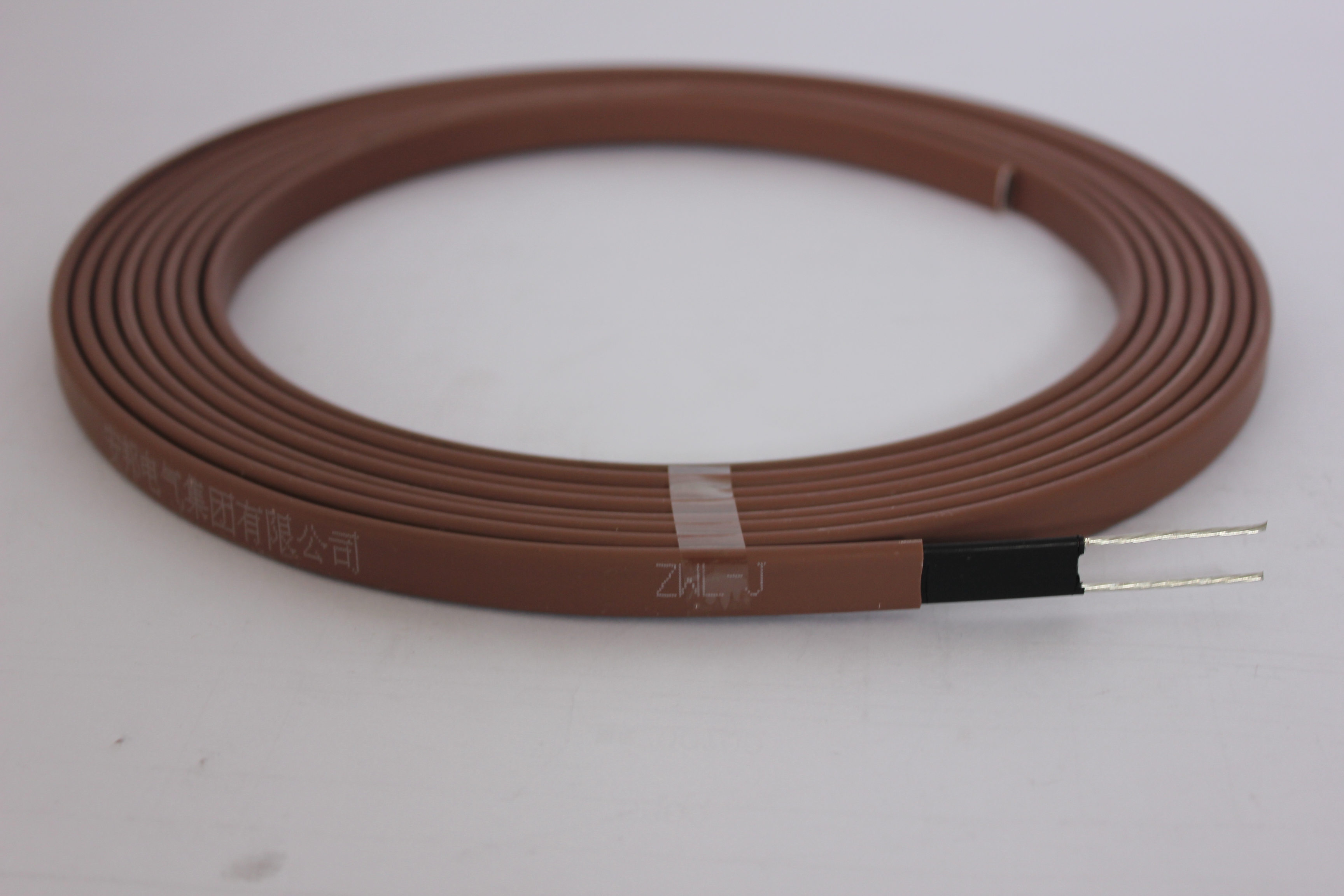 自限溫電正能量入口帶