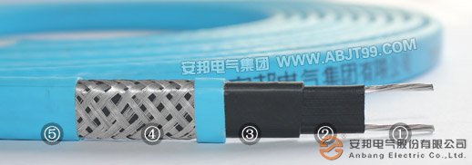 電正能量入口產品