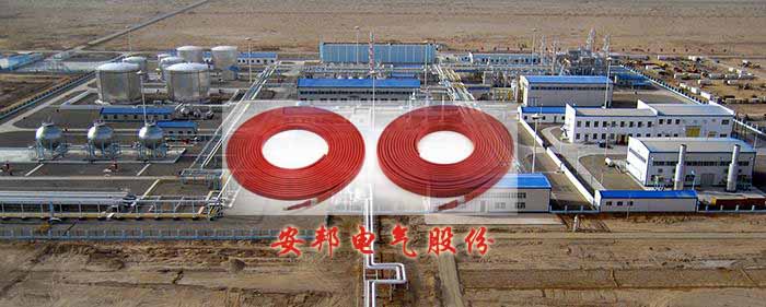 塔裏木油田電正能量入口天然氣防結露係統(圖1)
