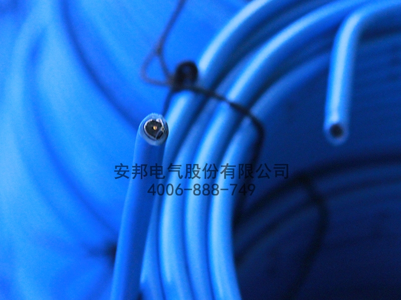 正能量入口電纜