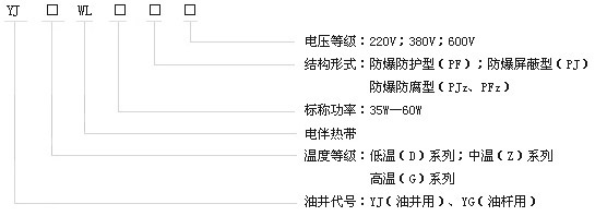 DXW-PF石油行業專用油井電正能量入口帶電熱帶(圖2)