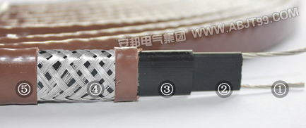 ZR-ZWL-PF中溫防爆加強型電正能量入口帶電熱帶(圖1)