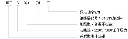 RDP3-J4型高溫恒功率電正能量入口帶電熱帶(圖2)