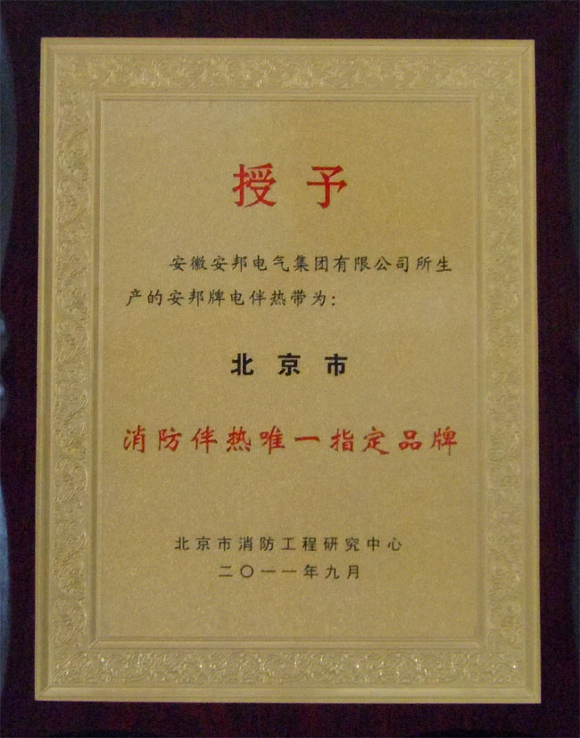 消防唯一電正能量入口指定品牌