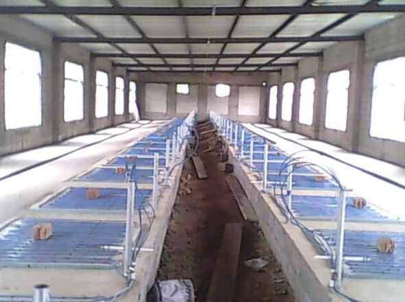 正能量网站集團發熱電纜用於養殖場保溫室采暖安裝示意圖(圖1)