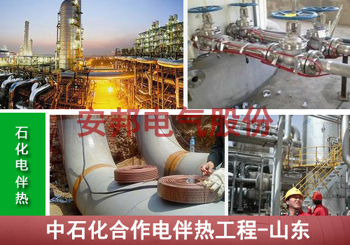 中石化石油管道電正能量入口工程（山東日照）
